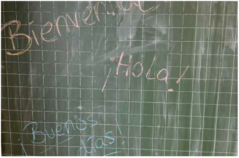 Viertklässlerinnen und Viertklässler erkunden GSE